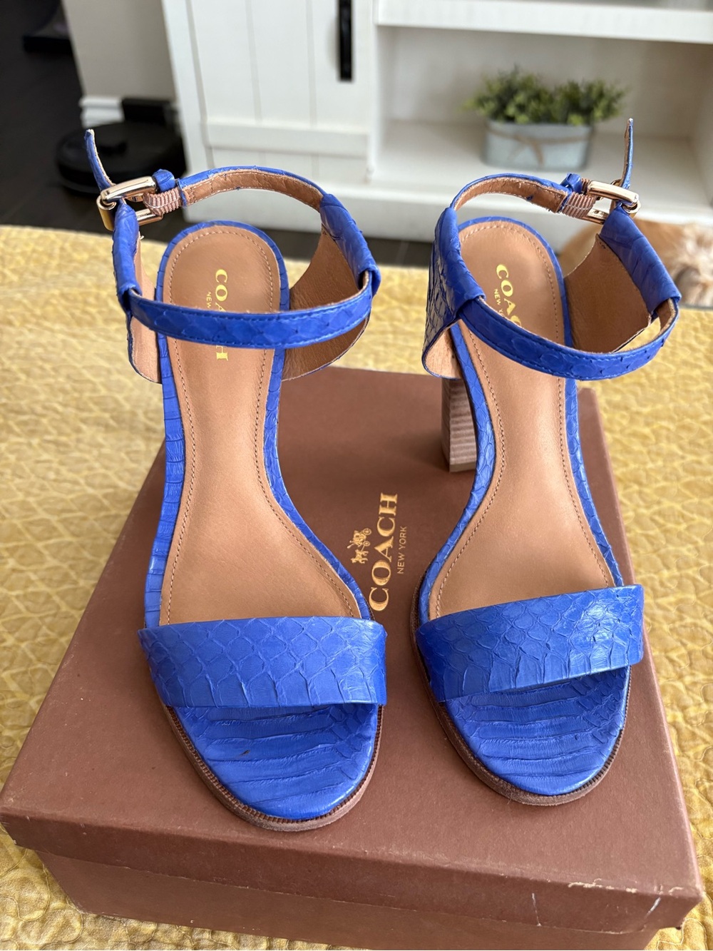 Coach Lexey Snake Heel
